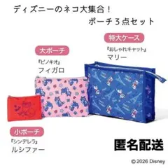 【匿名配送】ディズニー 特大ケース＆大・小ポーチ豪華3点セットのサムネイル