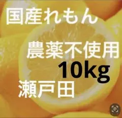特別栽培木成りレモン10kg愛媛産 - メルカリ
