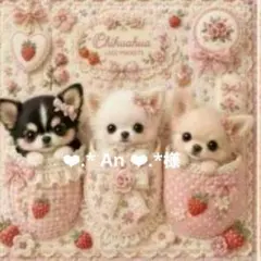 ❤︎.* An ❤︎.*様確認用です♪⑤ - メルカリ