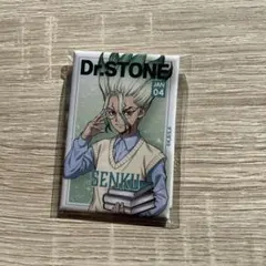Dr.STONE オンラインくじ　読書の秋編　缶バッジ　長方形　千空