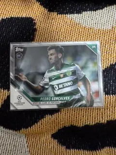 Item thumbnail for item 967a34e0-49b4-4aa9-9f3c-10e7aae5c7b9