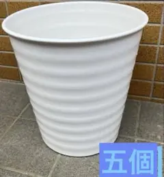 プラ鉢 植木鉢 28個セット ホワイト 縦ライン模様 胡蝶蘭 zz プラ鉢 植木鉢 6個セット ホワイト 縦ライン模様 胡蝶蘭 - メルカリ