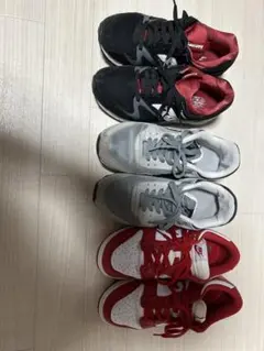 dunk low 27
