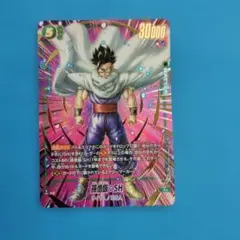 2026年最新】孫悟飯Rパラレルの人気アイテム - メルカリ