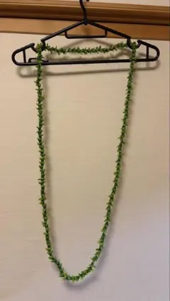 Item thumbnail for item 78462972-6bd9-4b66-9c69-532f58a75d69