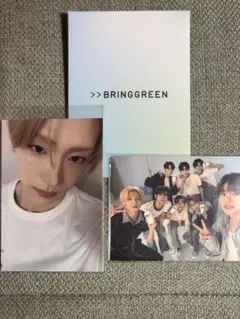 ALD1 BRINGGREEN サンウォン