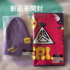 .ENDRECHERI. ライブツアーグッズ ニット帽＆タオル