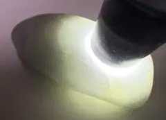 糸魚川翡翠　白翡翠　純白系　海石　宮崎海岸産　19.2g