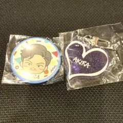 2025年最新】AKIRAグッズの人気アイテム - メルカリ