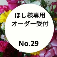 ほし様専用オーダー受付　オーダー受付No.29