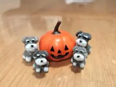 ミニチュアシュナウザー 4頭セット と ハロウィンかぼちゃ 置物