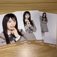 矢田萌華 ノーマルコンプ 乃木コレランダム生写真5枚セット/40th制服