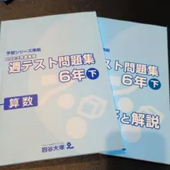 2026年最新】四谷大塚週テスト6年の人気アイテム - メルカリ