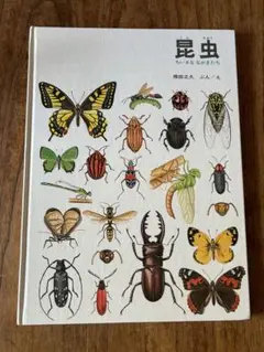 Item thumbnail for item f0fe3398-5d97-4c92-a86b-103672e597d9