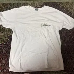 専用stussyTシャツ