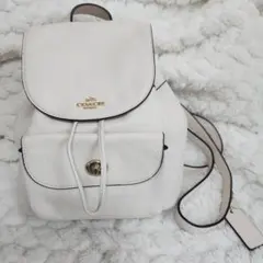 Item thumbnail for item 19a10a52-e3cf-4ff9-bab8-e1b10362a7f9