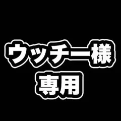 ウッチー様専用【フォロー割】