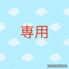 専用