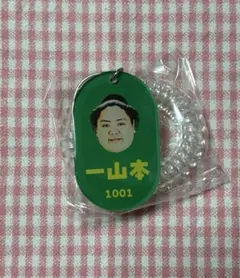 大相撲ガチャ　ロッカーキー風キーホルダー　一山本関