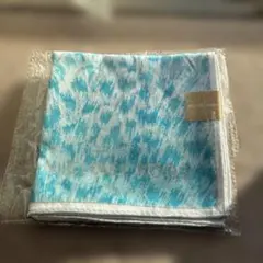 Item thumbnail for item dd6a5649-a8c8-4ca9-a678-808fe62ee148