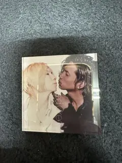 acid black cherry マグネット