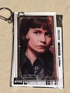 大阪コミコン　ファンタビくじ　ラストワン賞　手乗りピケット 大阪コミコン ファンタビくじ ラストワン賞 手乗りピケット 期間