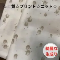 104b☆プリント☆ニット☆ ☆ベースは画像より綺麗な生成り☆☆