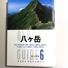 2025年最新】ヤマケイアルペンガイドの人気アイテム - メルカリ