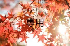 2025年最新】maison margiela tabi 38の人気アイテム - メルカリ