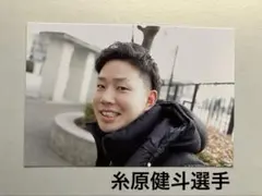 2018プロ野球イケメン図鑑 ポストカード 阪神　 糸原健斗選手　中谷将大選手