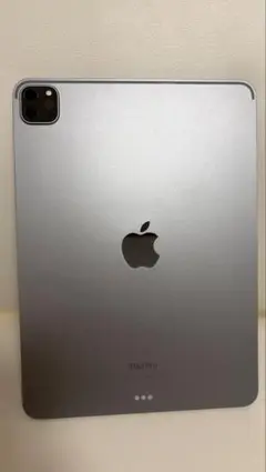 2026年最新】Apple タブレット カラー：スペースグレイ iPad本体の人気