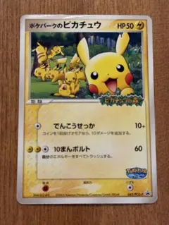 포켓 파크 피카츄 PROMO PCG-P 프로모 카드 043/PCG-P
