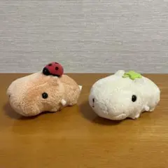 2025年最新】カピバラさん ぬいぐるみの人気アイテム - メルカリ