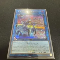 シュレ猫　プロフ必読様 リクエスト 2点 まとめ商品