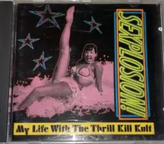 MY LIFE WITH THE THRILL KILL KULT
