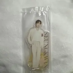 SEVENTEEN スングァン アクスタ 一番くじ