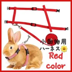 小動物用 ハーネス リード お散歩紐 うさぎ ウサギ、モルモット リード付き 赤のサムネイル