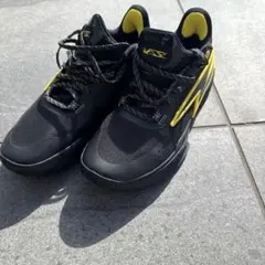 Li-Ning バスケットボールシューズ ABPJ027-2 US11