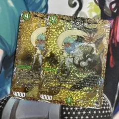 アグンテ　b 2枚　シク