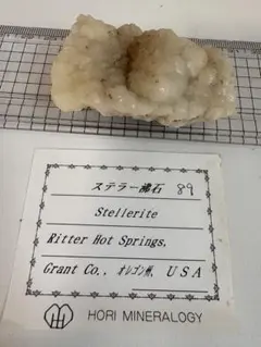 ステラー沸石　オレゴン州　USA