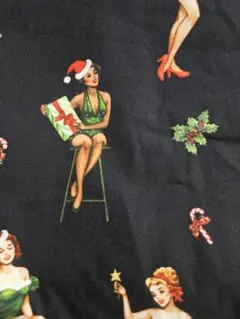 大SALE✨USA fabric マイケルミラー クリスマス柄 サンタコス