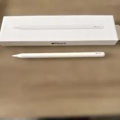 Apple Pencil ジャンク
