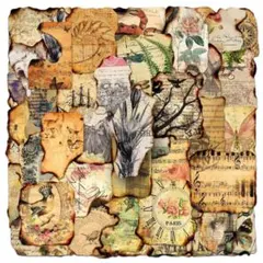 【T37】シール 50枚 ステッカー レトロ 自然 ジャーナル コラージュ素材