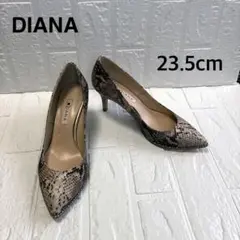DIANA ダイアナ パンプス ヘビ柄 パイソン柄 ポインテッドトゥ スタッズ