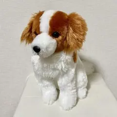 コーイケルホンディエのおでこちゃん　犬 ぬいぐるみ おすわり　big