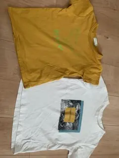 ダイナソーTシャツ　100 110 半袖2枚セット 恐竜　　ティラノサウルスのサムネイル