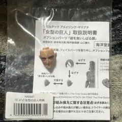 リボルテック アメイジングヤマグチ 進撃の巨人 女型の巨人 海洋堂限定特典