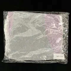 ケガレボシ 光沢競泳水着 おとこの娘用 2Lサイズ タマトイズ ※外箱無しのサムネイル