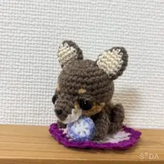 あみぐるみ　チワワのサムネイル