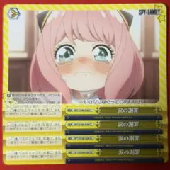 CC 涙の謝罪 4枚